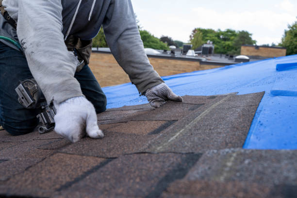 Best Roof Repair Services  in Belvedere, CA