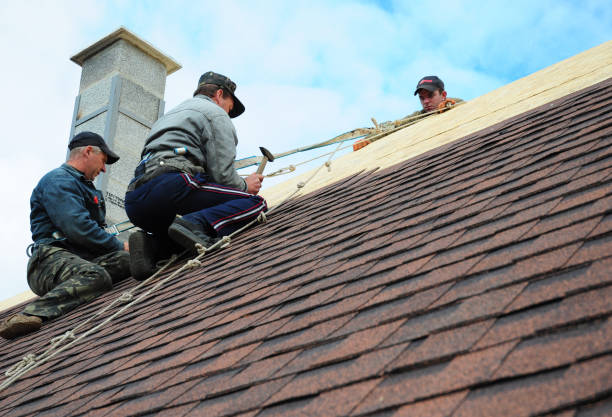 Best Storm Damage Roof Repair  in Belvedere, CA